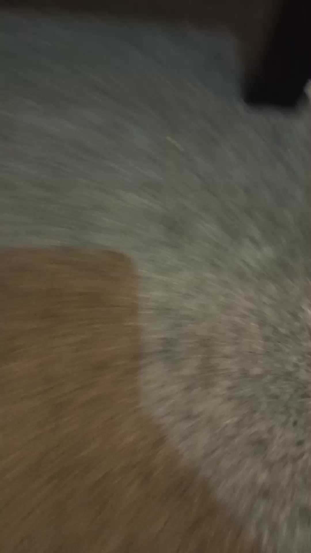 review image 11