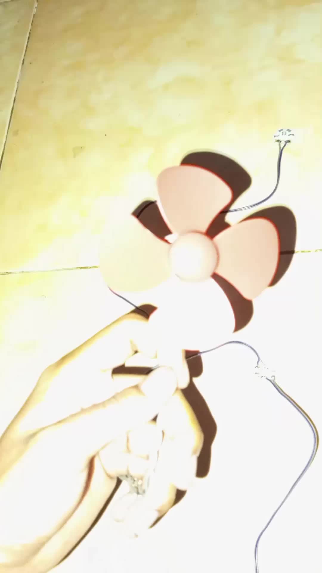 review image 8