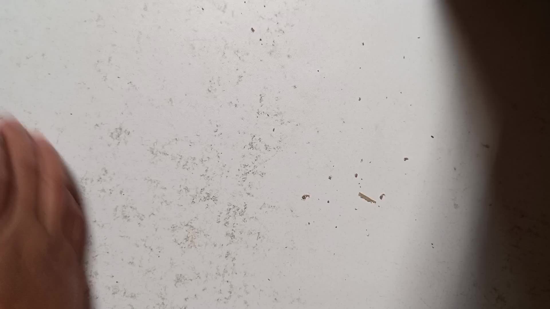 review image 2