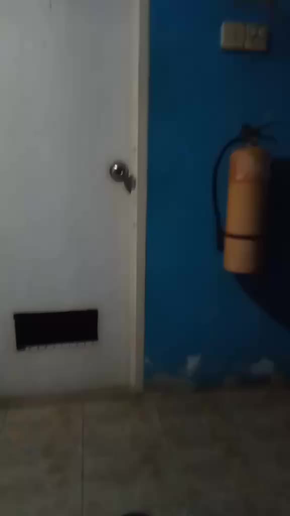 review image 7