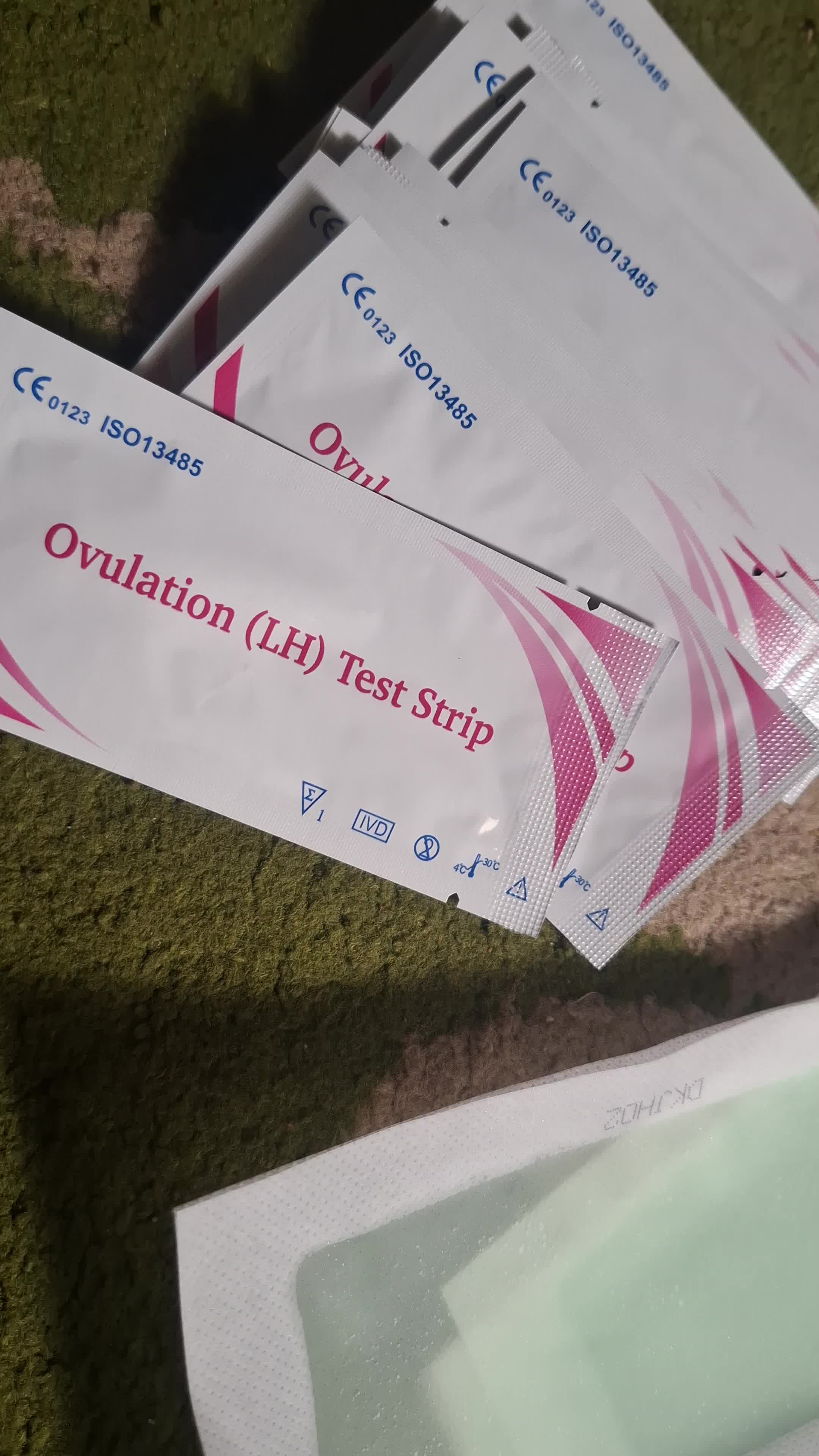review image 5