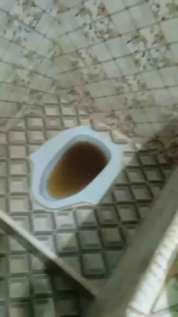 review image 7