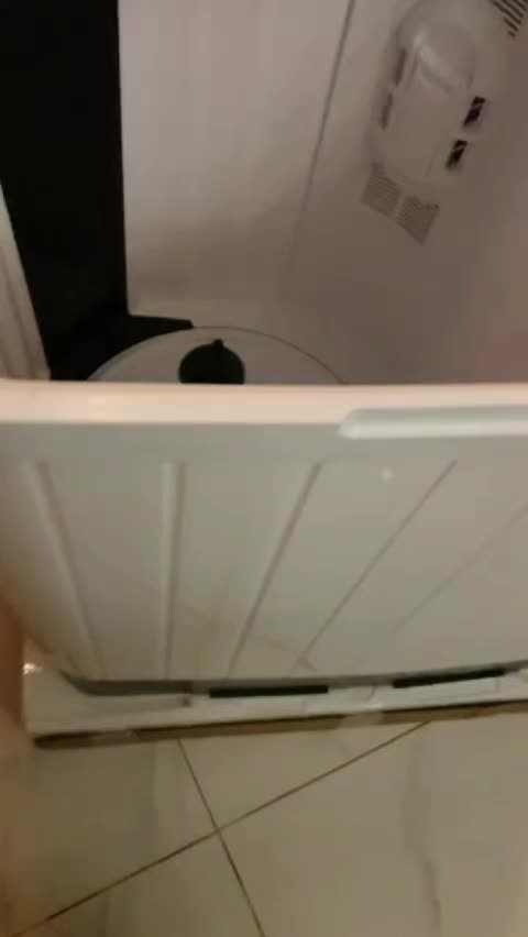 review image 9