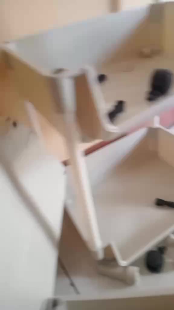 review image 4