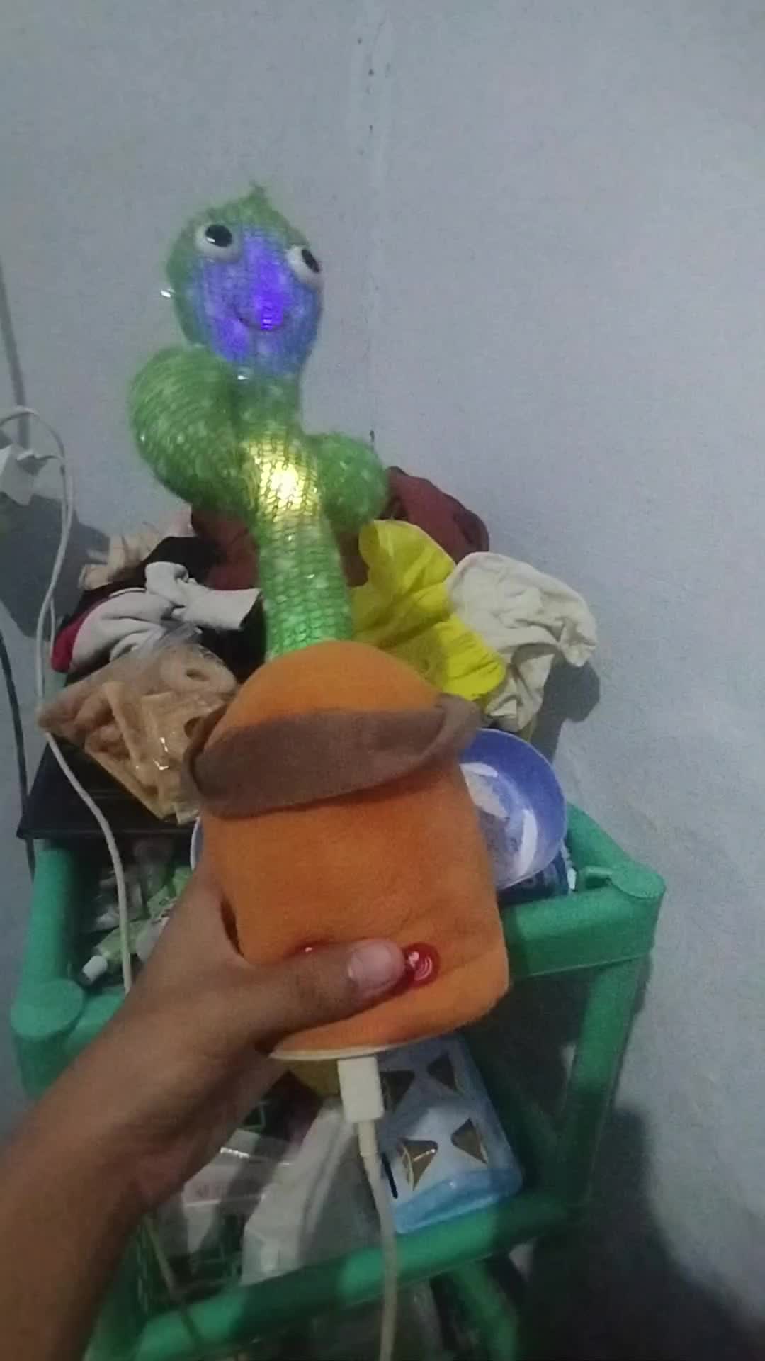 review image 10