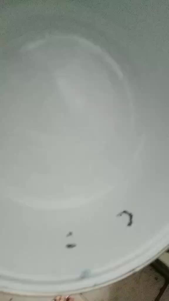 review image 3