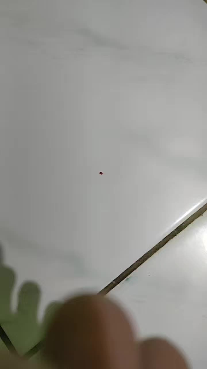review image 10