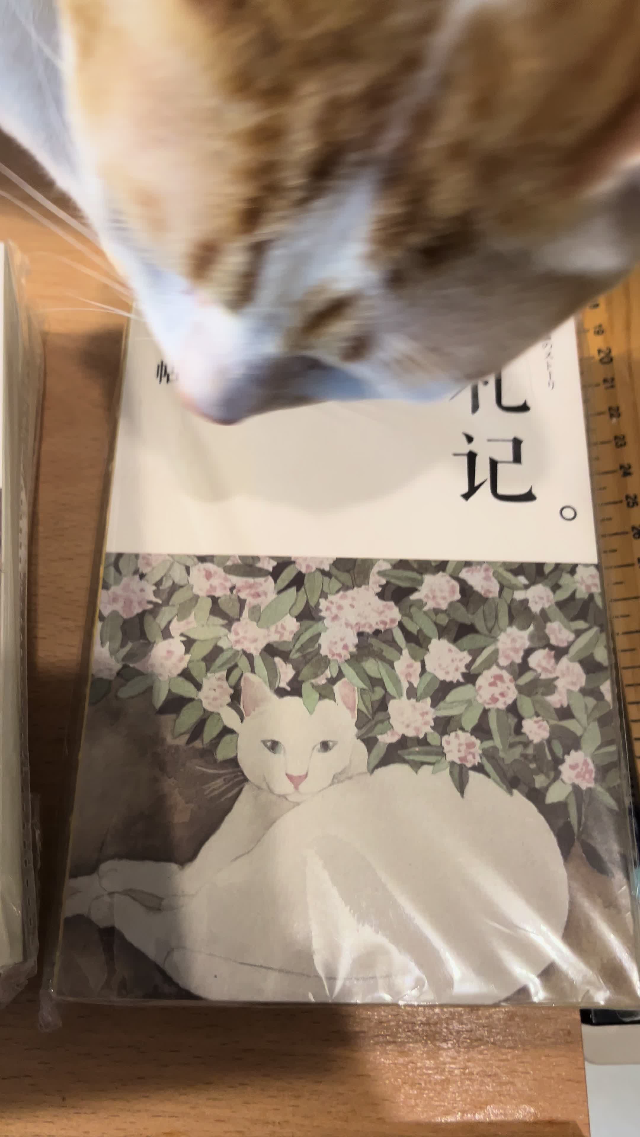 review image 7