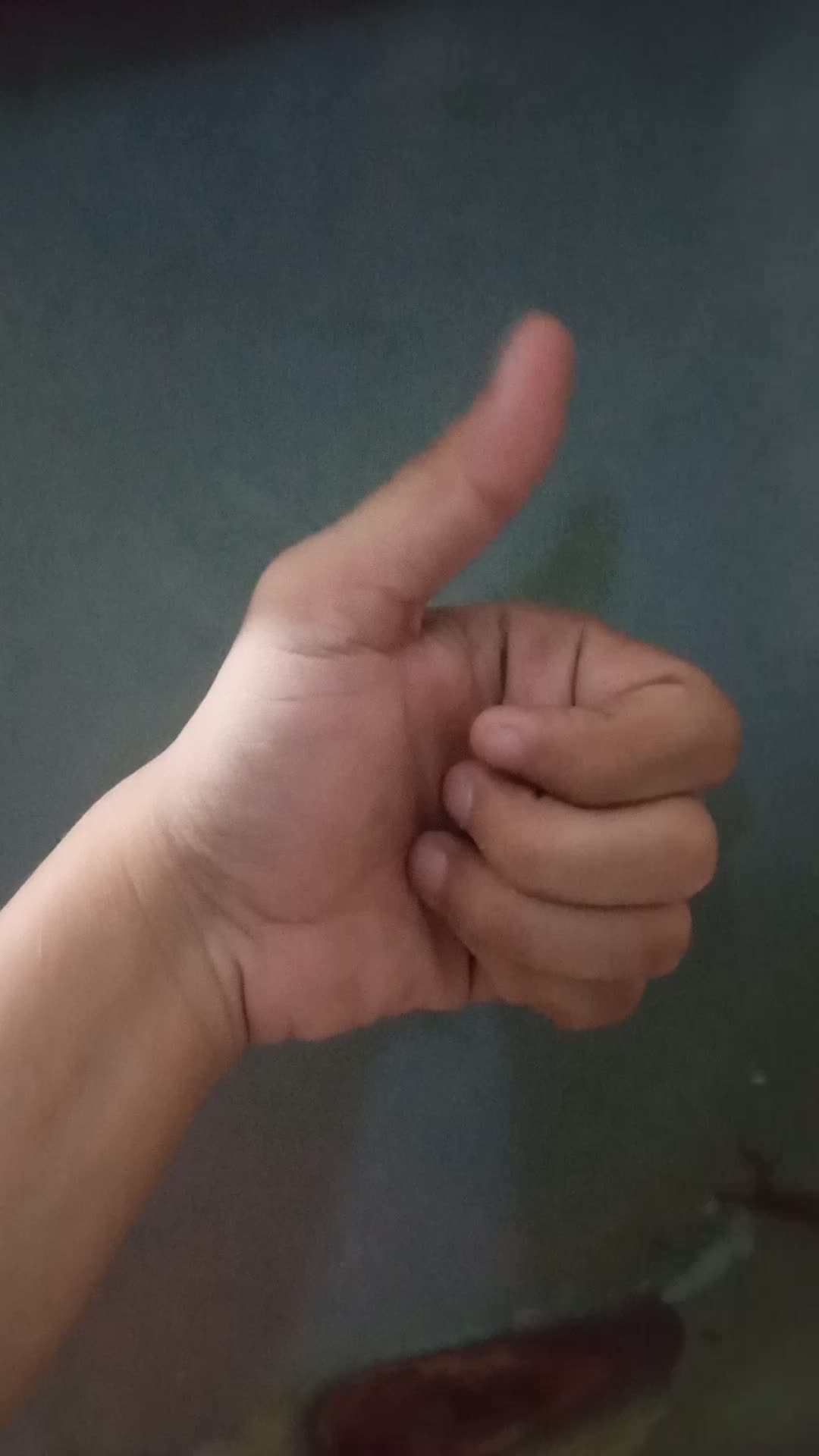 review image 10