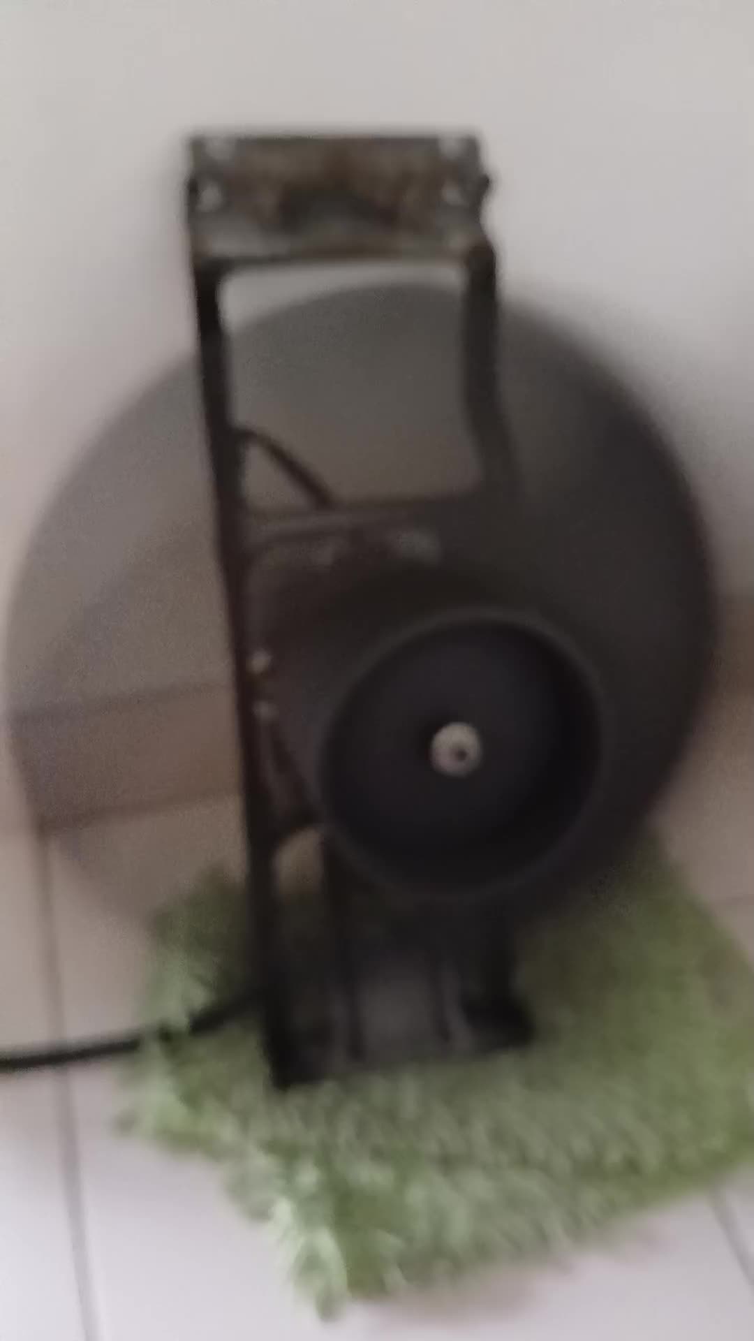 review image 4