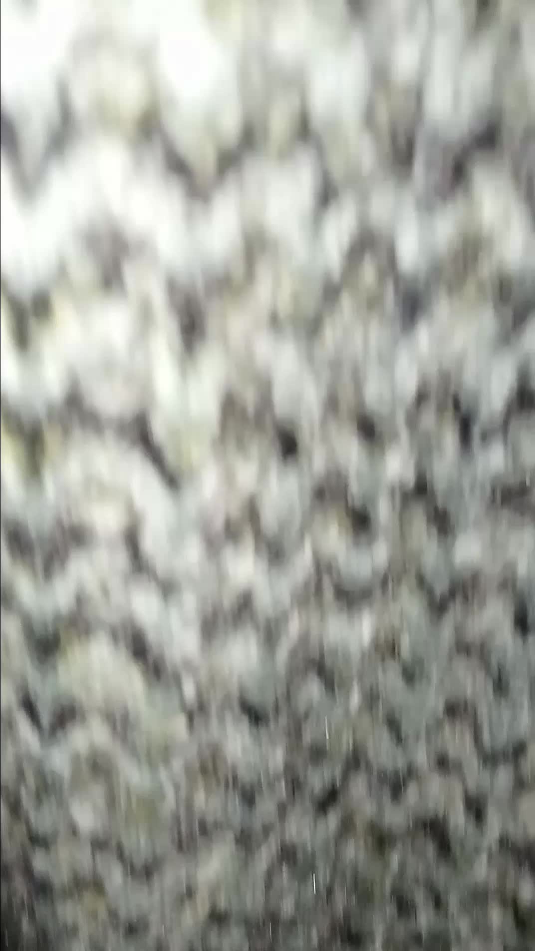 review image 4