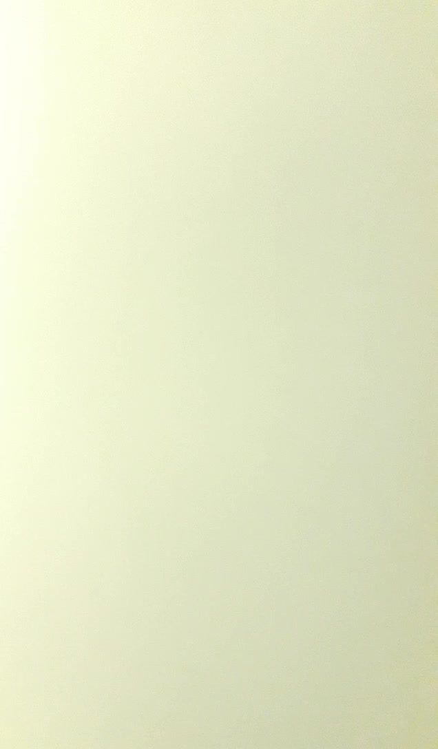 review image 4
