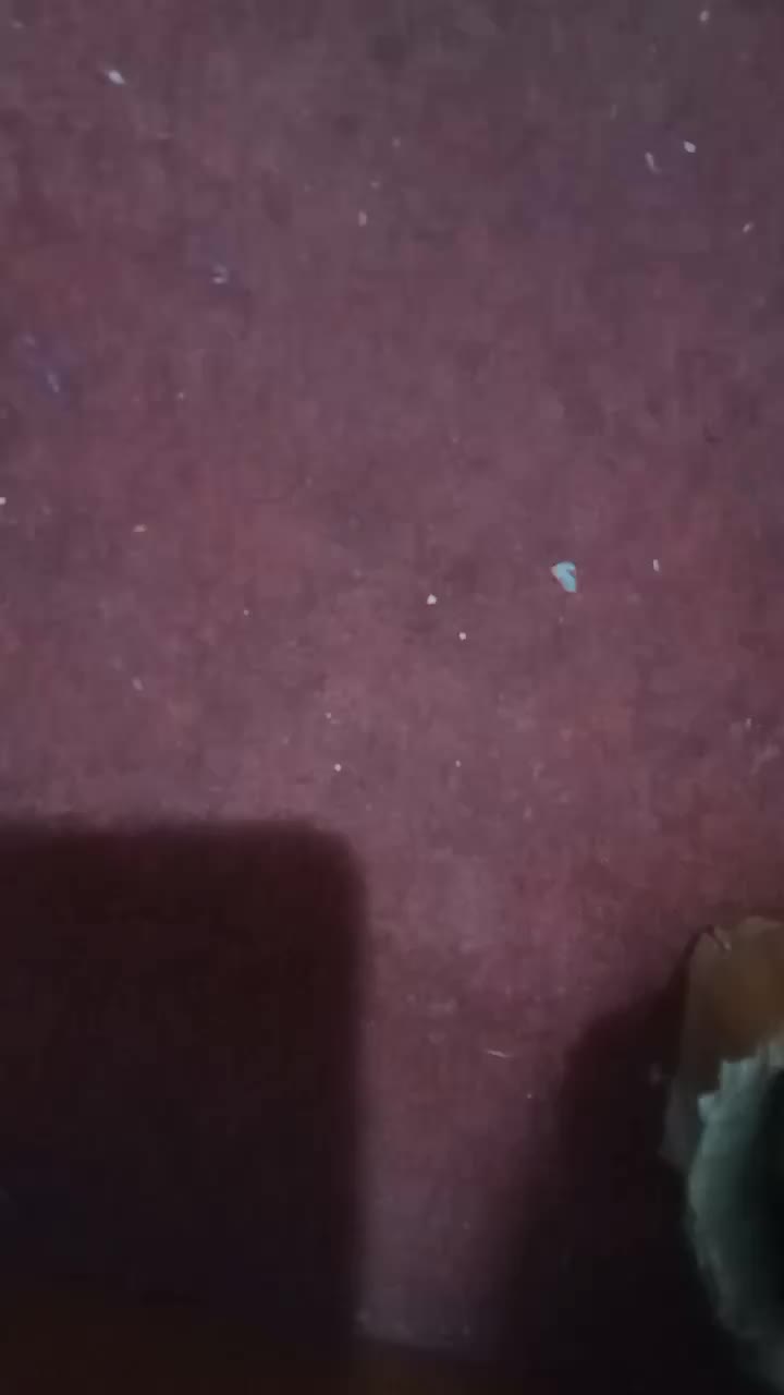 review image 3