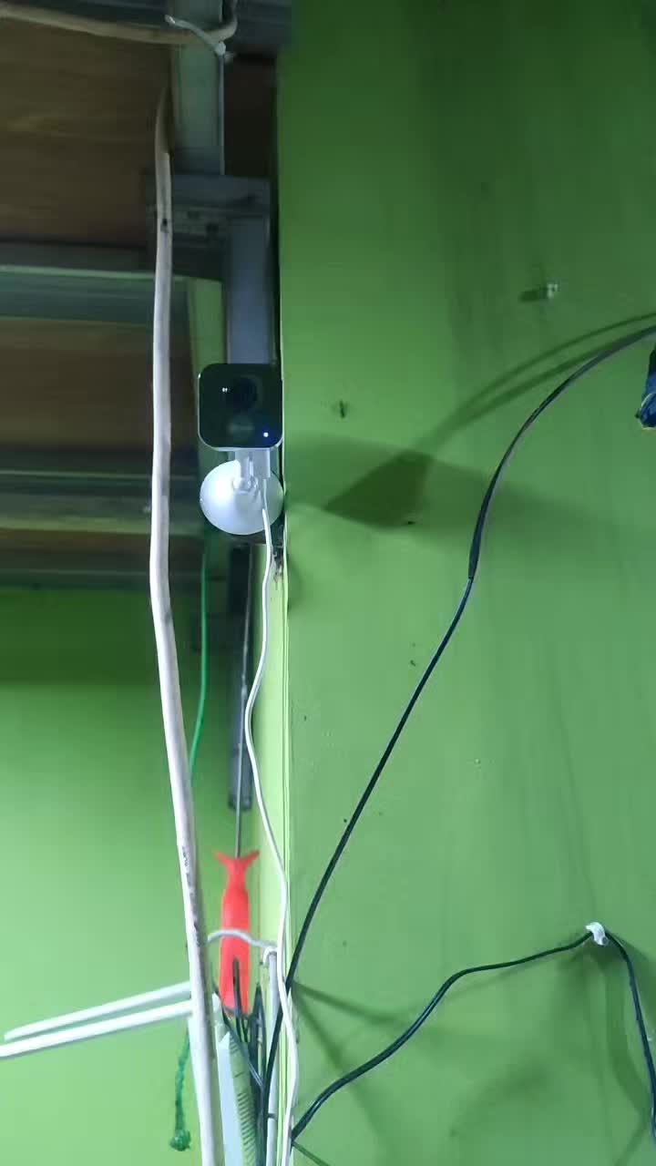 review image 8