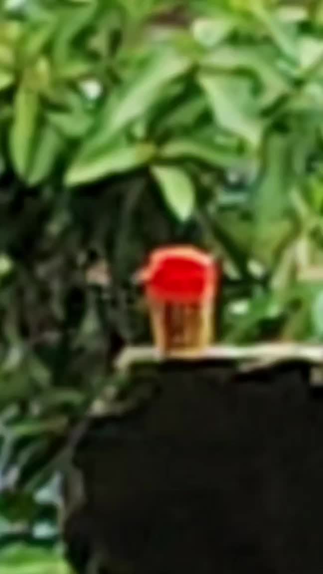 review image 7