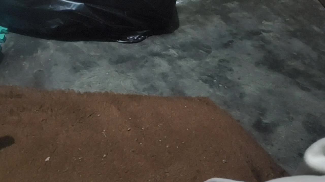 review image 5
