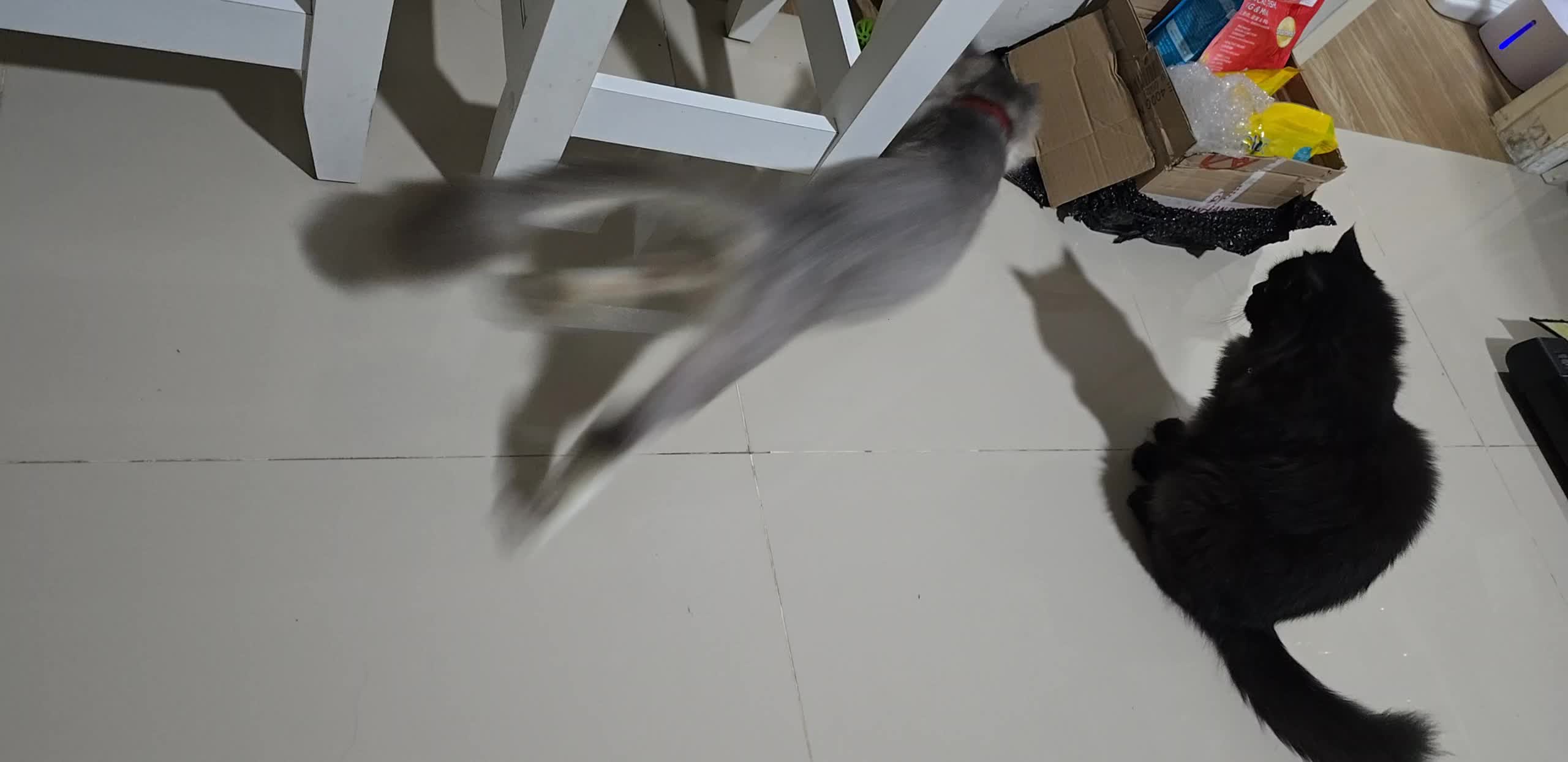 review image 5