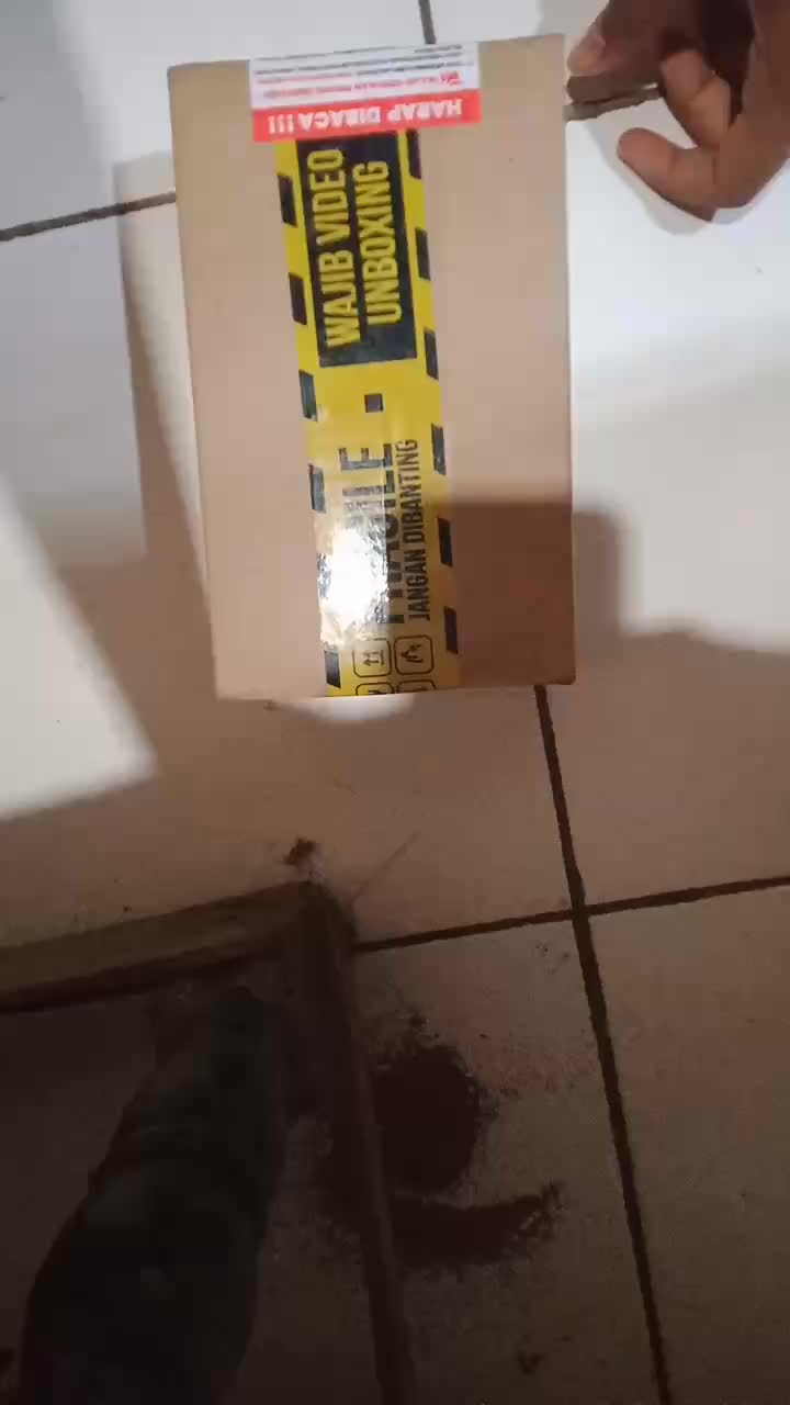 review image 4