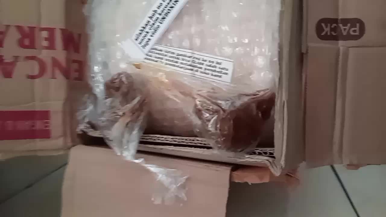review image 6