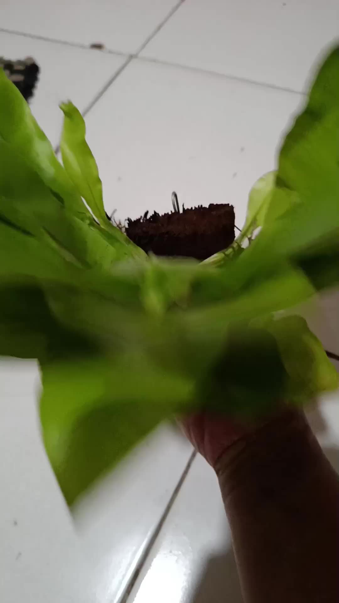 review image 8