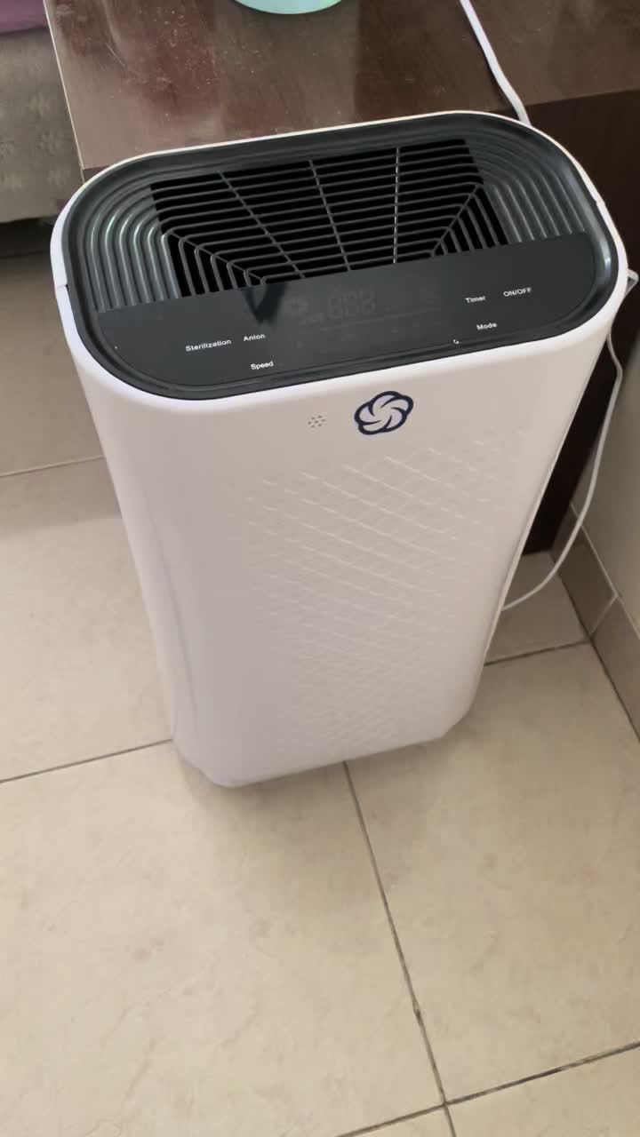 review image 5