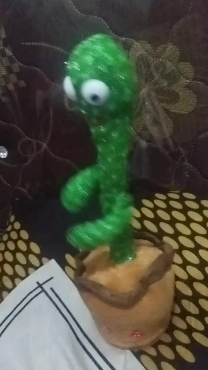 review image 4