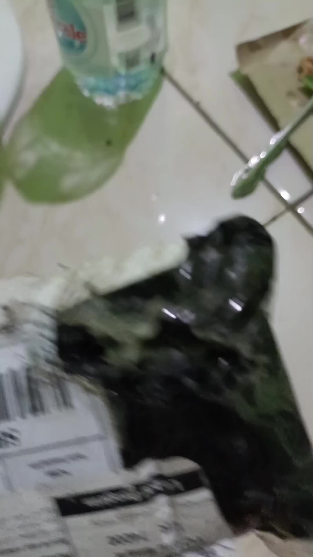 review image 9
