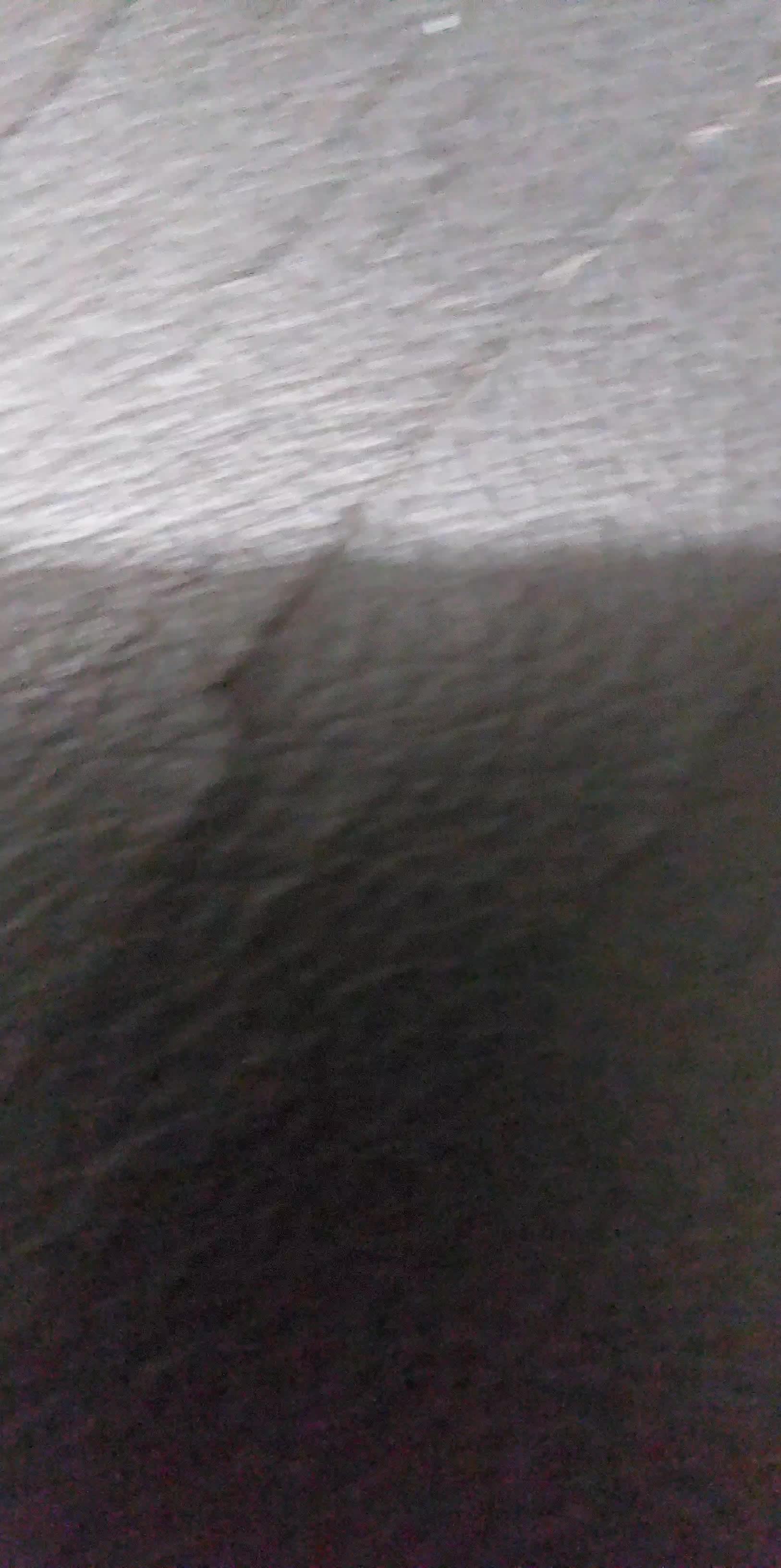 review image 6