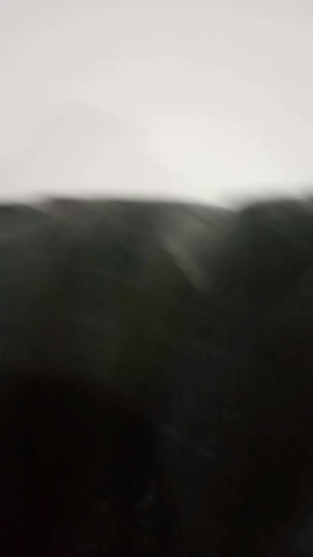 review image 5