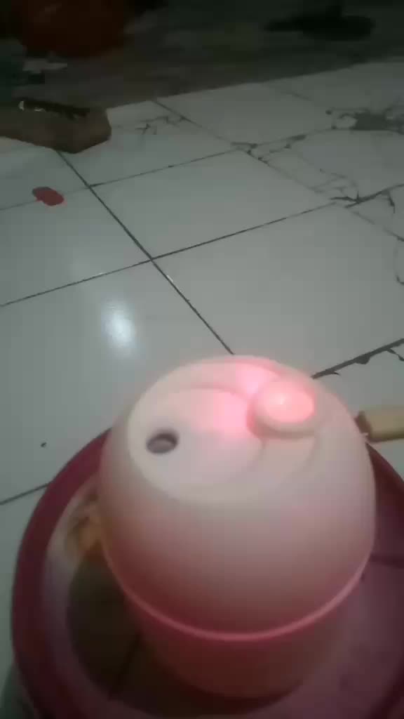 review image 2