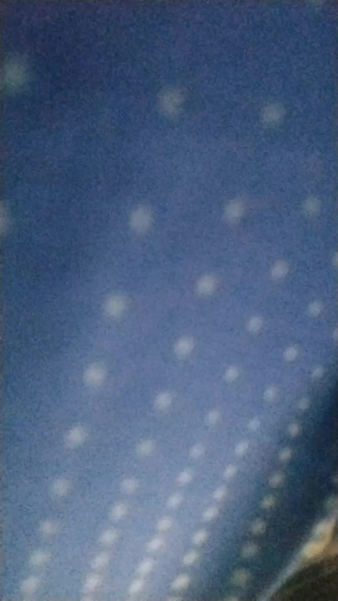 review image 11