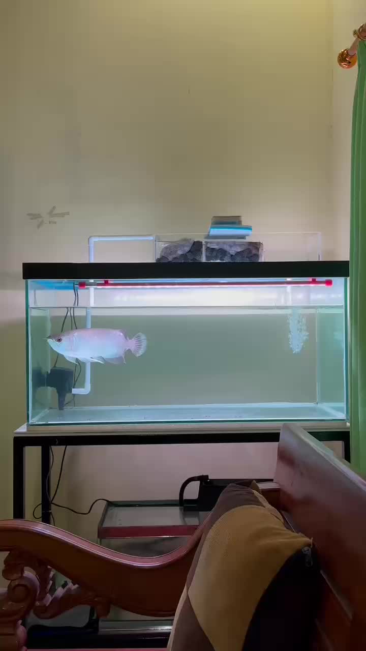 review image 5