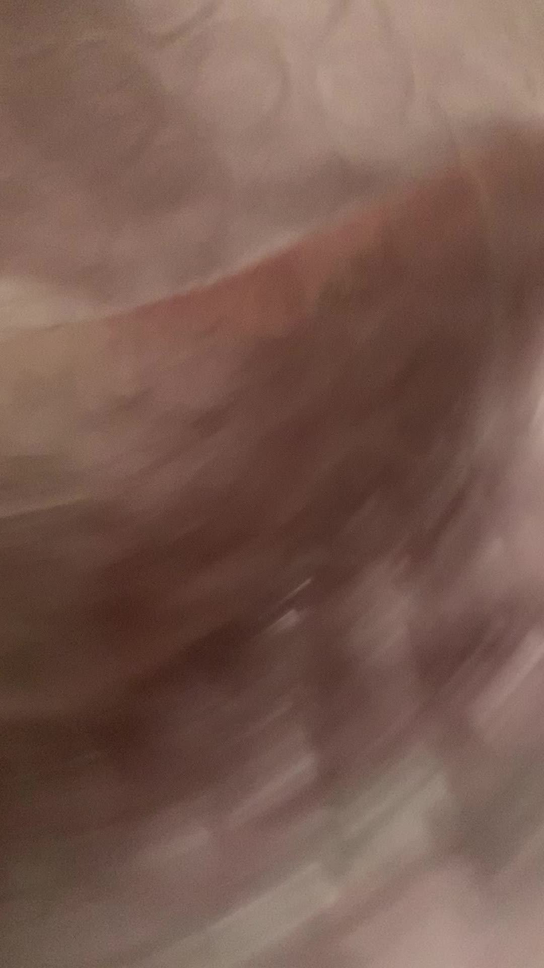 review image 3