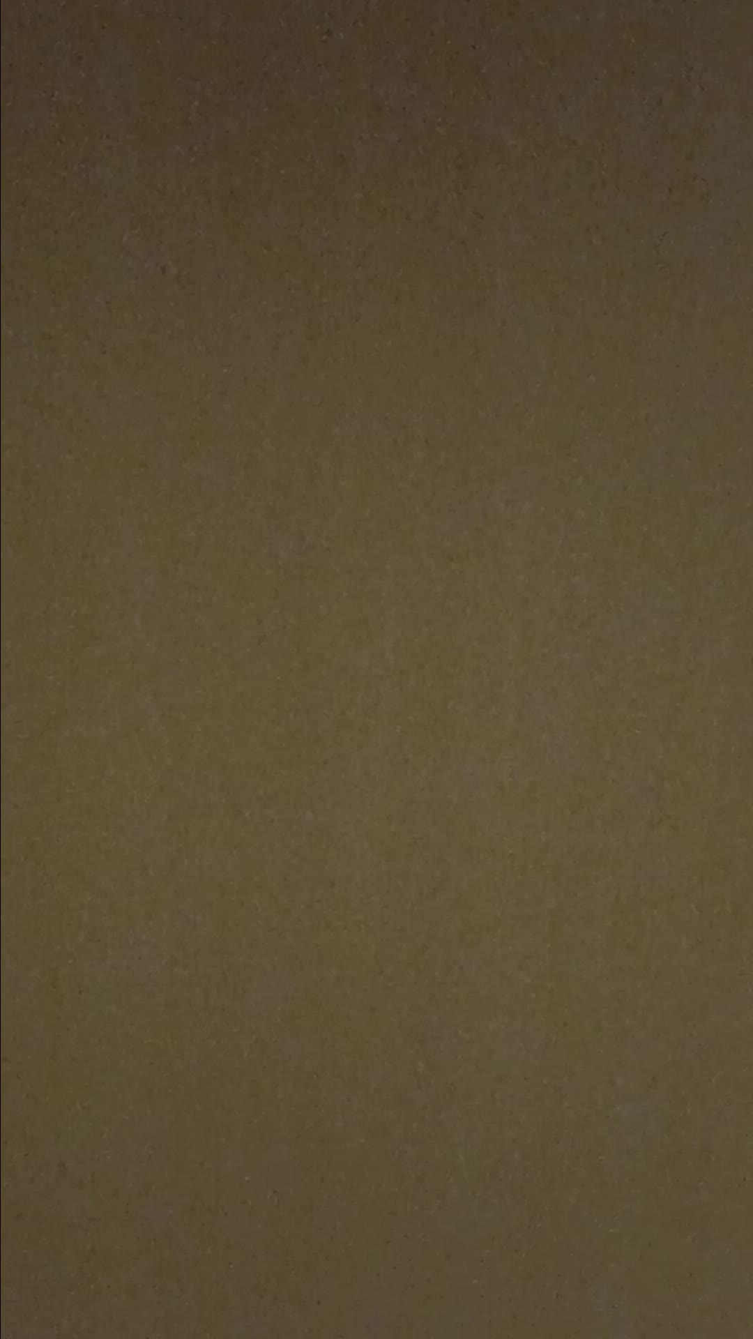 review image 10