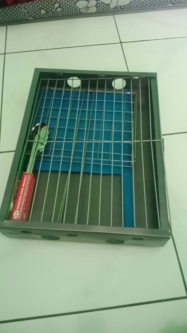 review image 1