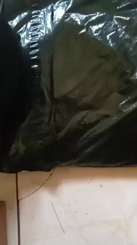 review image 5