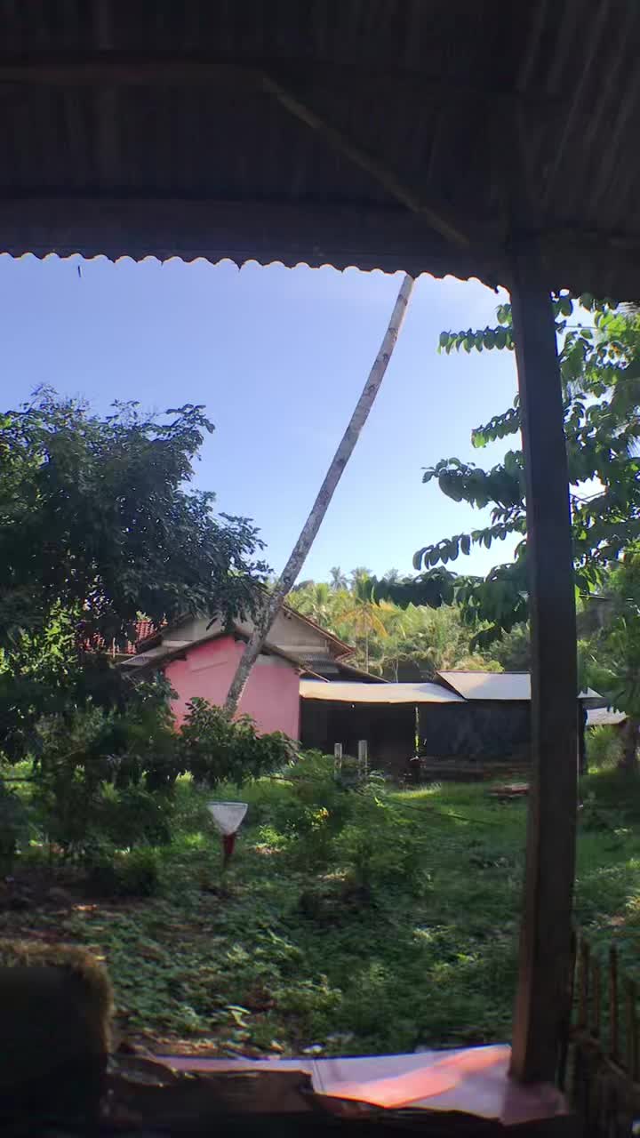 review image 10