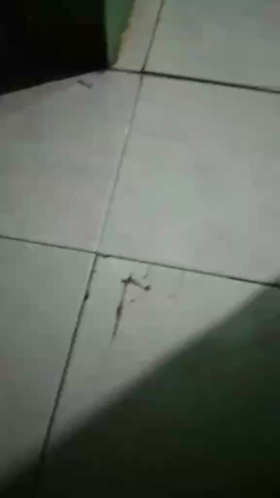 review image 4