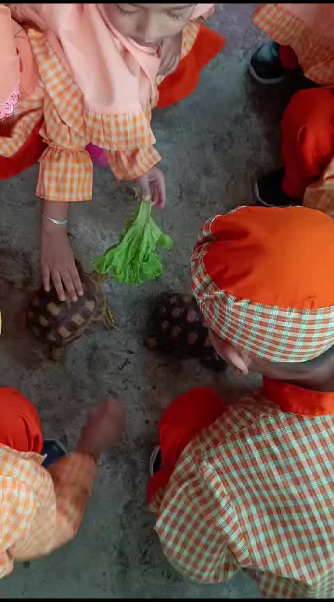 review image 5
