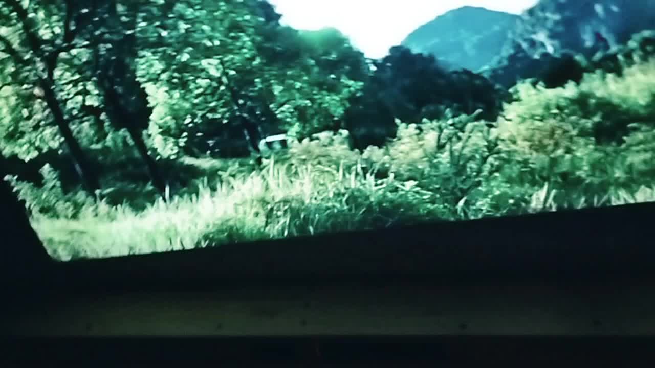 review image 5