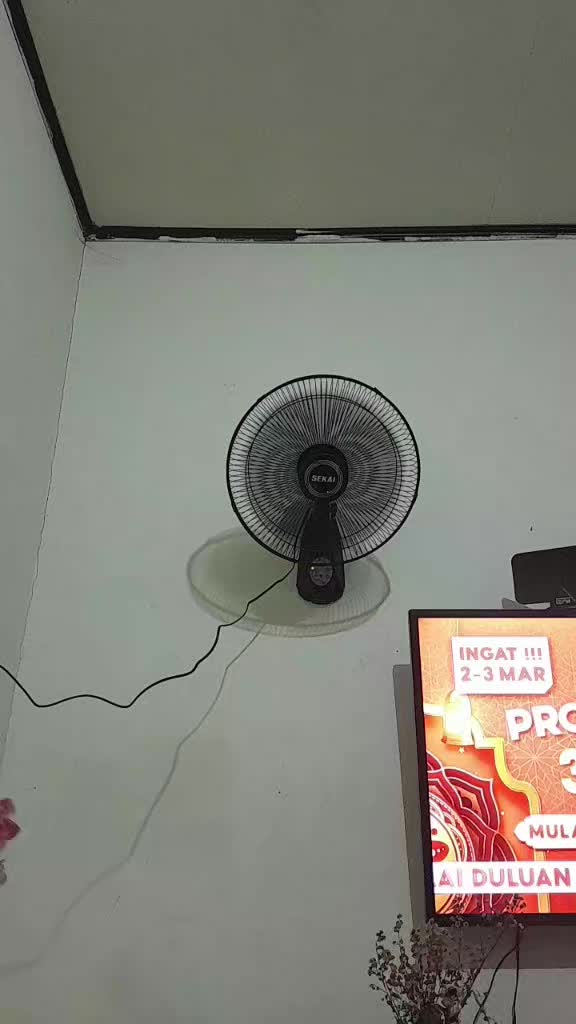 review image 11