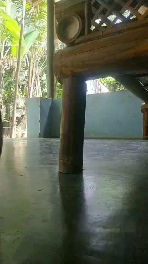 review image 8