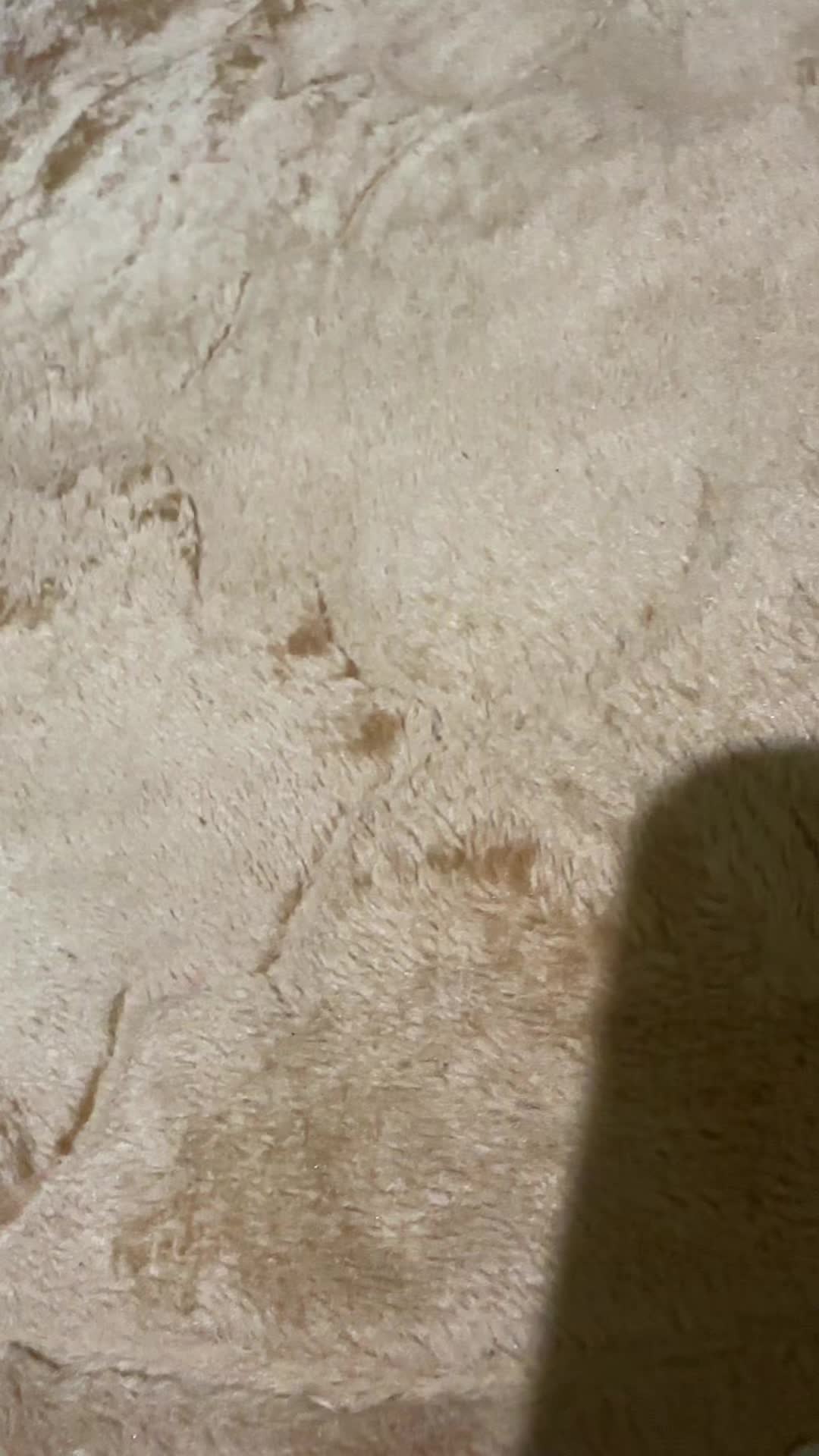 review image 9