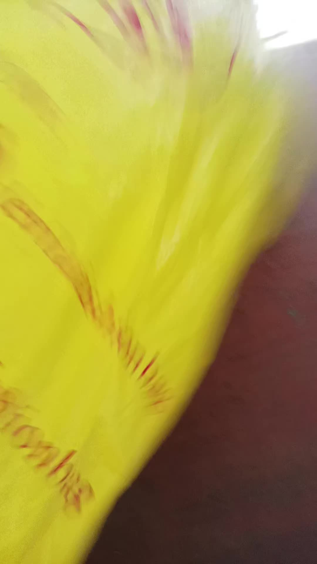 review image 13