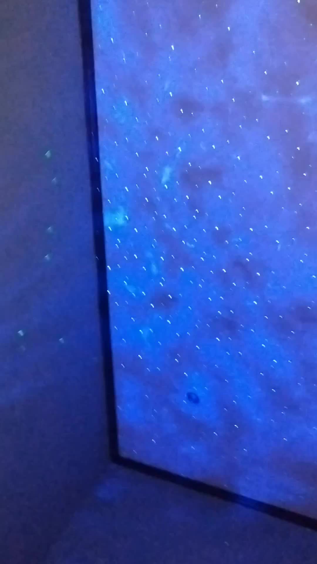 review image 5