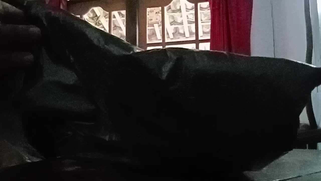 review image 0