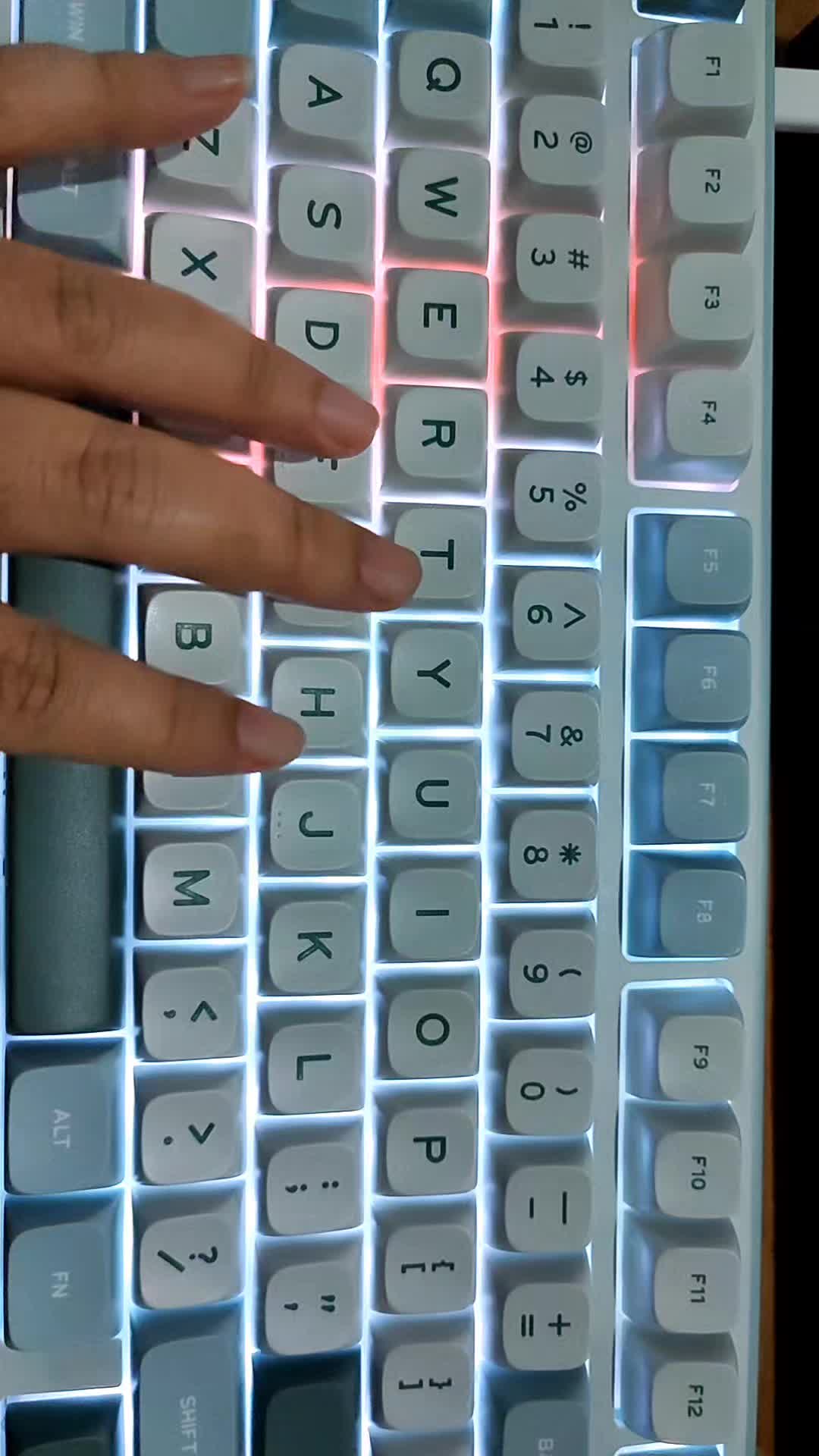 review image 5