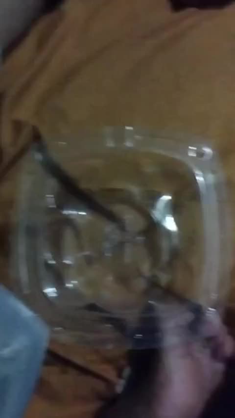 review image 5