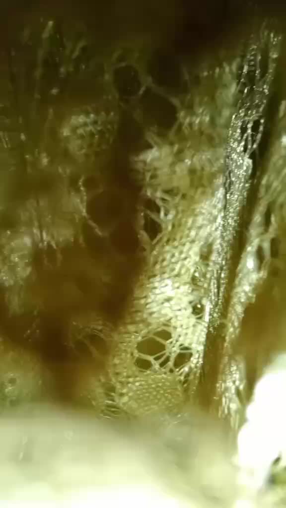 review image 8