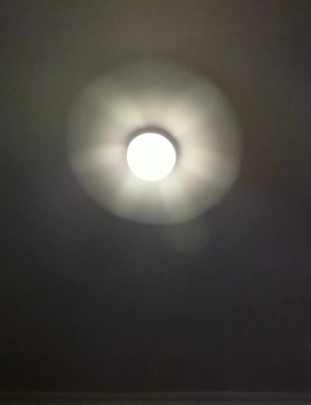 review image 8
